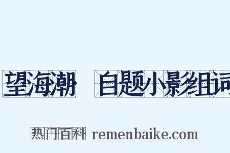 望海潮·自题小影组词是什么意思的图片